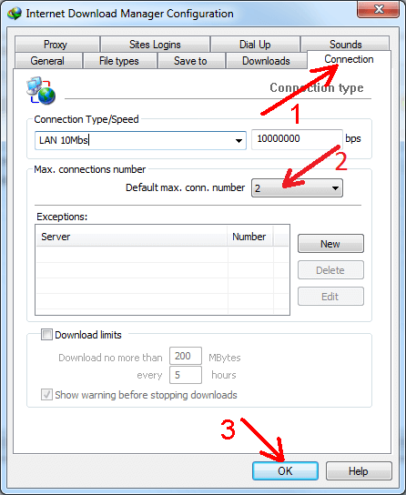 Set lower number of connecitons in IDM settings