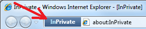 IE is launched in Private mode