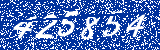 Capcha image