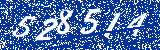 Capcha image